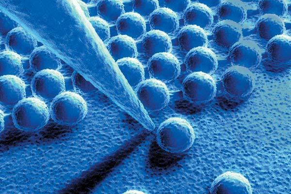 Журнал «Вокруг Света» №04 за 2007 год - TAG_img_cmn_2007_03_10_056_jpg678570