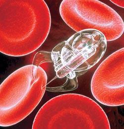 Журнал «Вокруг Света» №04 за 2007 год - TAG_img_cmn_2007_03_10_057_jpg966997