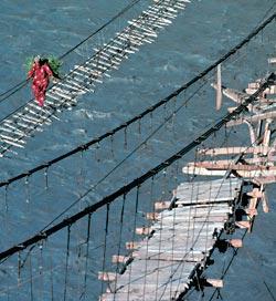 Журнал «Вокруг Света» №04 за 2007 год - TAG_img_cmn_2007_03_11_027_jpg191423