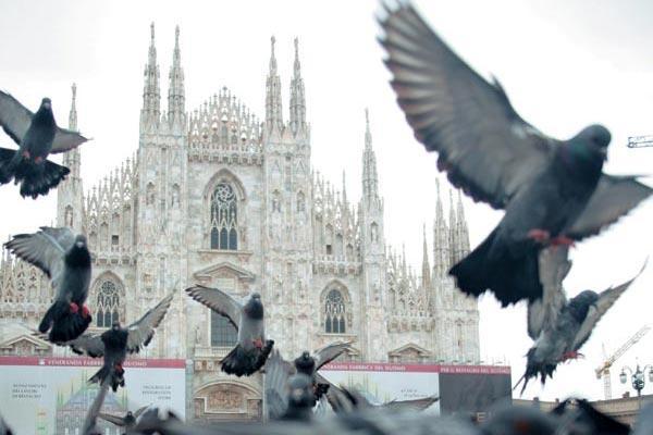 Журнал «Вокруг Света» №04 за 2008 год - TAG_img_cmn_2008_03_18_017_jpg703071