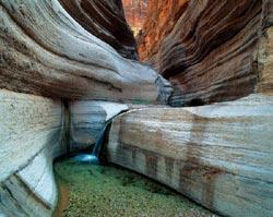 Журнал «Вокруг Света» №04 за 2008 год - TAG_img_cmn_2008_04_28_007_jpg299646