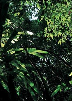 Журнал «Вокруг Света» №04 за 2008 год - TAG_img_cmn_2008_04_22_011_jpg250072