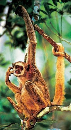 Журнал «Вокруг Света» №04 за 2008 год - TAG_img_cmn_2008_04_22_012_jpg687861