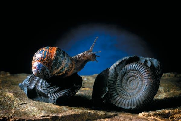 Журнал «Вокруг Света» №04 за 2009 год - TAG_img_cmn_2009_03_20_009_jpg559684