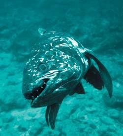 Журнал «Вокруг Света» №04 за 2009 год - TAG_img_cmn_2009_06_22_029_jpg387485