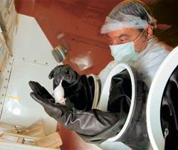 Журнал «Вокруг Света» №04 за 2010 год - TAG_img_cmn_2010_05_31_003_jpg650513