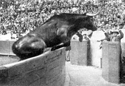 Журнал «Вокруг Света» №05 за 1962 год - TAG_img_cmn_2010_07_27_018_jpg52640