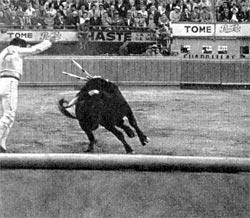 Журнал «Вокруг Света» №05 за 1962 год - TAG_img_cmn_2010_07_27_019_jpg975750