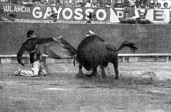 Журнал «Вокруг Света» №05 за 1962 год - TAG_img_cmn_2010_07_27_020_jpg377393