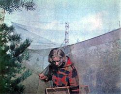 Журнал «Вокруг Света» №05 за 1979 год - TAG_img_cmn_2007_10_03_045_jpg847948