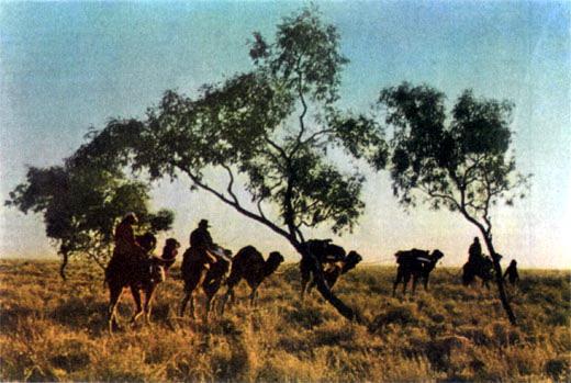 Журнал «Вокруг Света» №05 за 1987 год - TAG_img_cmn_2007_04_15_014_jpg504241