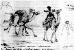 Журнал «Вокруг Света» №05 за 1987 год - TAG_img_cmn_2007_04_15_015_jpg327015