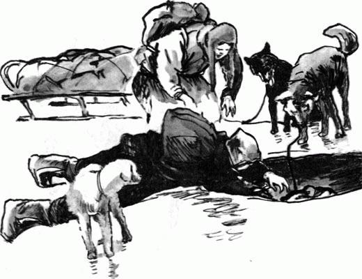 Журнал «Вокруг Света» №05 за 1987 год - TAG_img_cmn_2007_04_15_018_jpg739310