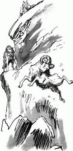 Журнал «Вокруг Света» №05 за 1987 год - TAG_img_cmn_2007_04_15_019_jpg972506