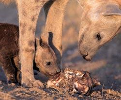 Журнал «Вокруг Света» №05 за 2007 год - TAG_img_cmn_2007_05_03_067_jpg245444