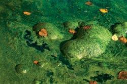 Журнал «Вокруг Света» №05 за 2007 год - TAG_img_cmn_2007_05_04_038_jpg65796