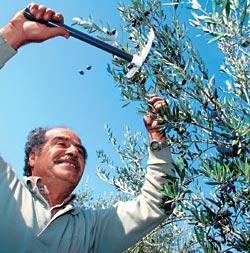 Журнал «Вокруг Света» №05 за 2007 год - TAG_img_cmn_2007_05_04_042_jpg289653