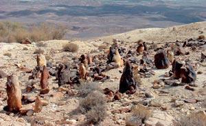 Журнал «Вокруг Света» №05 за 2008 год - TAG_img_cmn_2008_05_07_027_jpg800492