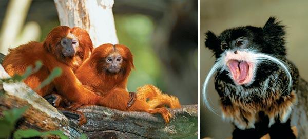 Журнал «Вокруг Света» №05 за 2009 год - TAG_img_cmn_2009_07_23_003_jpg379494