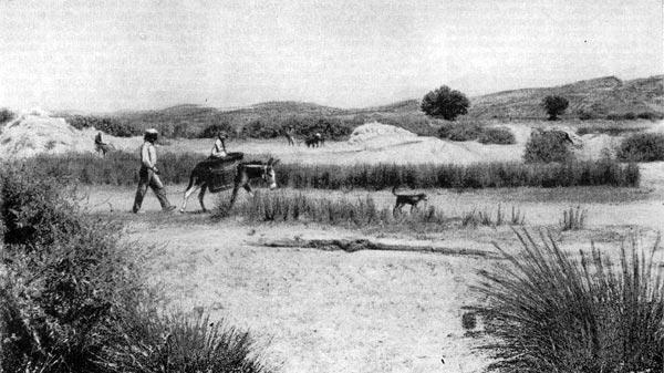 Журнал «Вокруг Света» №06 за 1960 год - TAG_img_cmn_2010_10_01_033_jpg311137