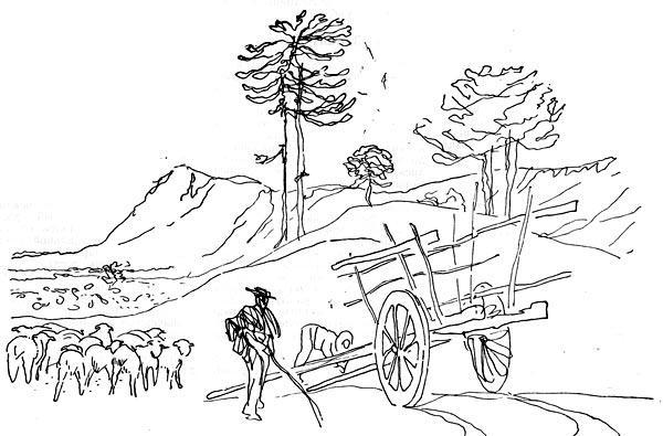 Журнал «Вокруг Света» №06 за 1960 год - TAG_img_cmn_2010_10_04_012_jpg43678