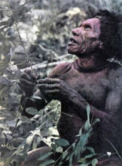 Журнал «Вокруг Света» №06 за 1978 год - TAG_img_cmn_2007_10_14_032_jpg86394