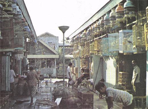 Журнал «Вокруг Света» №06 за 1985 год - TAG_img_cmn_2007_03_21_041_jpg250496