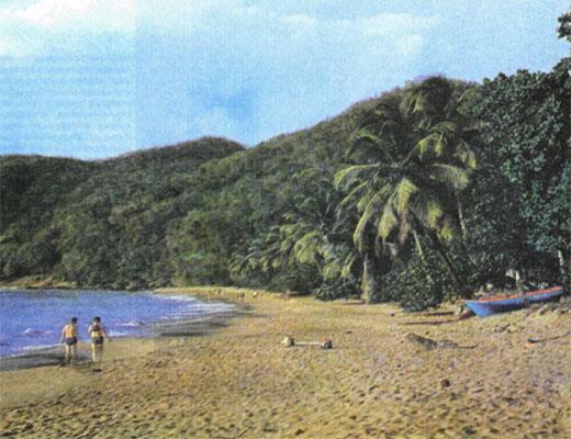 Журнал «Вокруг Света» №06 за 1985 год - TAG_img_cmn_2007_03_21_044_jpg827734