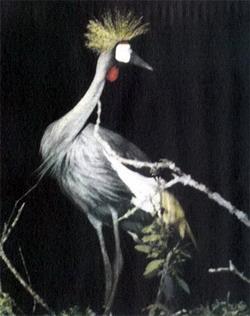 Журнал «Вокруг Света» №06 за 1987 год - TAG_img_cmn_2007_04_17_020_jpg143125