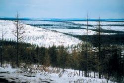 Журнал «Вокруг Света» №06 за 2006 год - TAG_img_cmn_2007_02_15_019_jpg770732