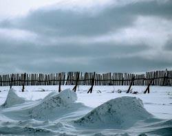 Журнал «Вокруг Света» №06 за 2006 год - TAG_img_cmn_2007_02_15_020_jpg870990