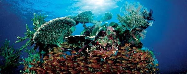 Журнал «Вокруг Света» №06 за 2006 год - TAG_img_cmn_2007_02_16_043_jpg468643