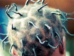 Журнал «Вокруг Света» №06 за 2007 год - TAG_img_cmn_2007_05_04_044_jpg523297