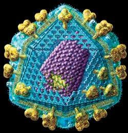 Журнал «Вокруг Света» №06 за 2007 год - TAG_img_cmn_2007_05_05_030_jpg569852