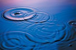 Журнал «Вокруг Света» №06 за 2009 год - TAG_img_cmn_2009_08_11_006_jpg861830