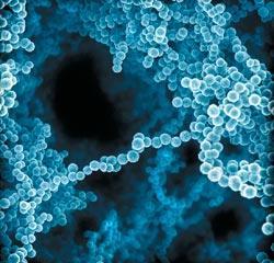 Журнал «Вокруг Света» №06 за 2009 год - TAG_img_cmn_2009_08_17_015_jpg320403