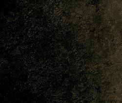 Журнал «Вокруг Света» №06 за 2010 год - TAG_img_cmn_2010_08_11_016_jpg940787