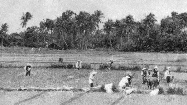 Журнал «Вокруг Света» №07 за 1960 год - TAG_img_cmn_2009_02_17_005_jpg647261