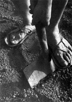 Журнал «Вокруг Света» №07 за 1973 год - TAG_img_cmn_2007_07_23_027_jpg711609