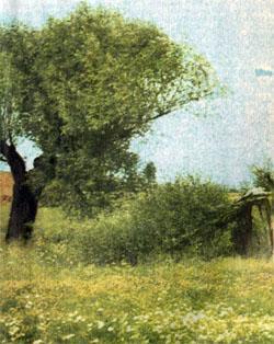 Журнал «Вокруг Света» №07 за 1979 год - TAG_img_cmn_2007_10_06_022_jpg30875