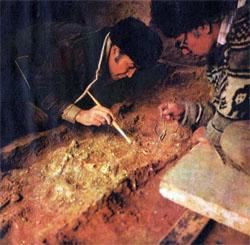 Журнал «Вокруг Света» №07 за 1979 год - TAG_img_cmn_2007_10_07_006_jpg422239