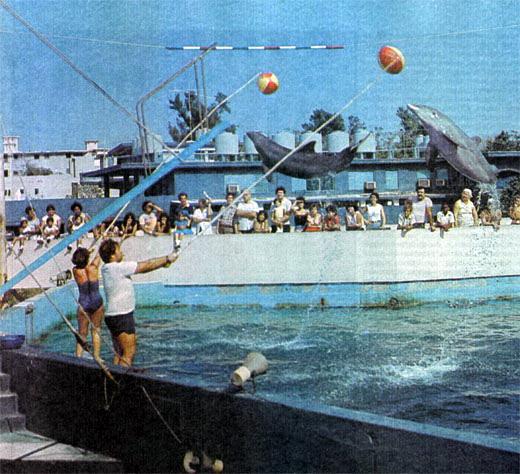 Журнал «Вокруг Света» №07 за 1987 год - TAG_img_cmn_2007_04_18_034_jpg898161