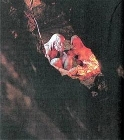 Журнал «Вокруг Света» №07 за 1987 год - TAG_img_cmn_2007_04_19_016_jpg848147