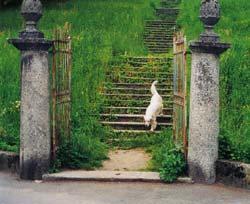 Журнал «Вокруг Света» №07 за 2002 год - TAG_img_cmn_2006_07_25_014_jpg4164