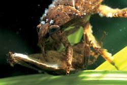 Журнал «Вокруг Света» №07 за 2007 год - TAG_img_cmn_2007_05_06_006_jpg754590