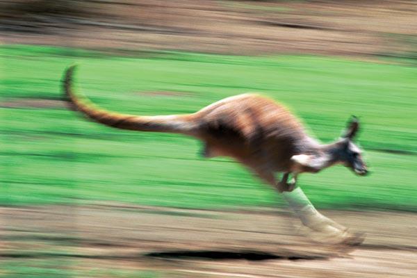 Журнал «Вокруг Света» №07 за 2007 год - TAG_img_cmn_2007_05_06_037_jpg699043