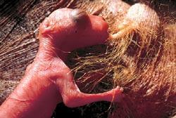 Журнал «Вокруг Света» №07 за 2007 год - TAG_img_cmn_2007_05_06_039_jpg384860