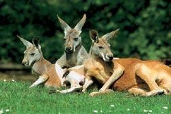 Журнал «Вокруг Света» №07 за 2007 год - TAG_img_cmn_2007_05_06_041_jpg759344