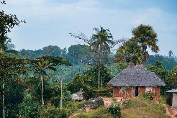 Журнал «Вокруг Света» №07 за 2007 год - TAG_img_cmn_2007_05_06_053_jpg401182