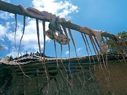 Журнал «Вокруг Света» №07 за 2007 год - TAG_img_cmn_2007_05_06_056_jpg58363